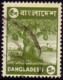 bangla-desh.jpg