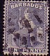 barbados_nr7.jpg