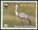 malawi_nr477.jpg