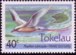 tokelau-inseln.jpg