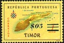 timor313.jpg